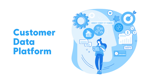 Customer Data Platform